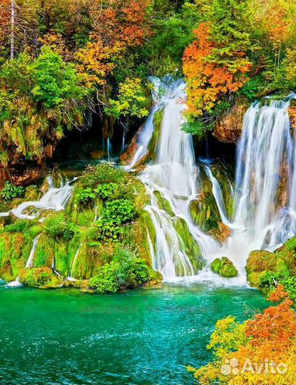 Картина по номерам 40x50 Лесной осенний