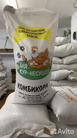 Алтай для кур-несушк