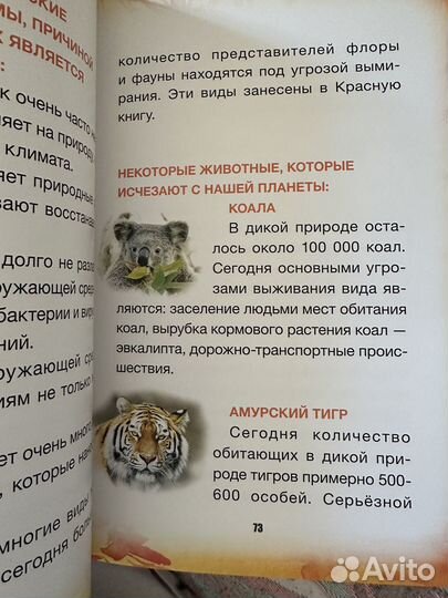 Книга детская по экологии