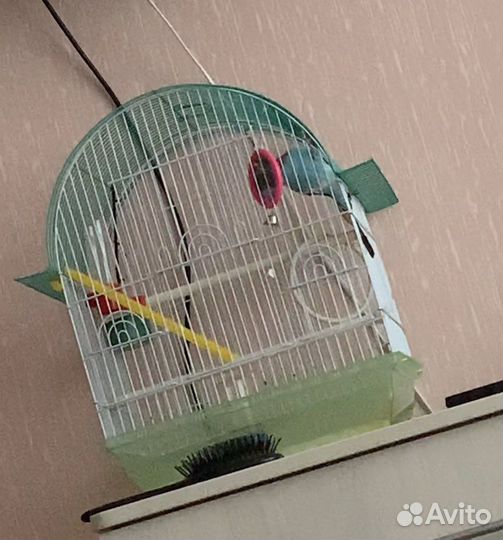 Клетка для попугая