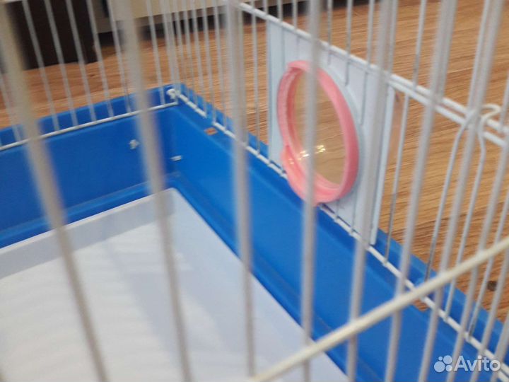 Клетка для джунгарского хомяка