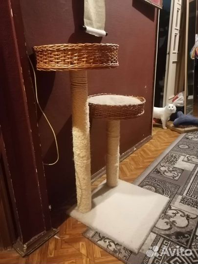 Когтеточка