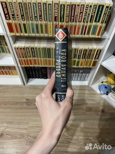 Дьявол и темная вода - Стюарт Тертон