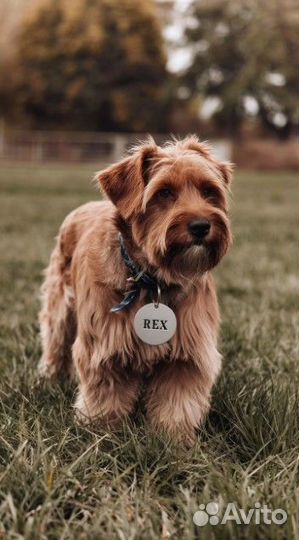 Адресник + Гравировка