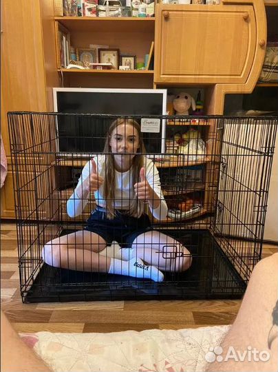 Клетка для собак, антивандальная + поддон