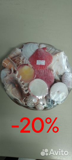 Тарелка ракушек