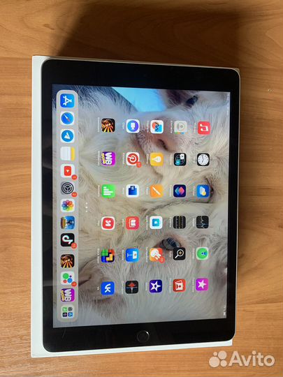 iPad 9 поколения