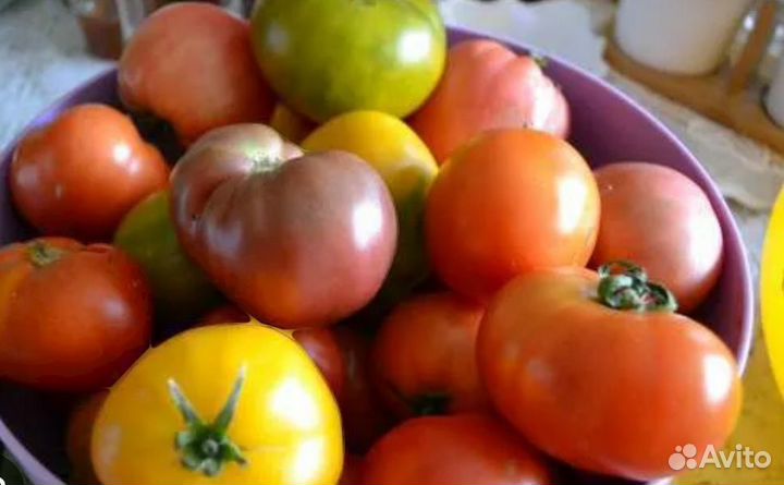 Помидоры