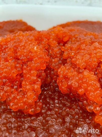 Икра красная горбуши