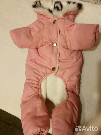 Вещи для mini йорка