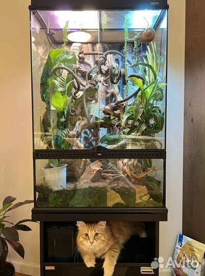 Террариум Палюдариум Hagen Exo-Terra 60x45x90