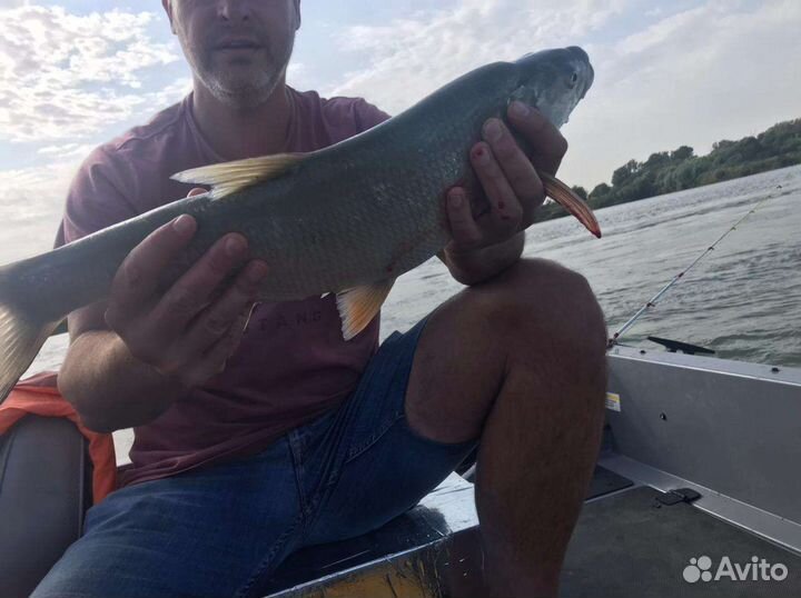 Охота и рыбалка