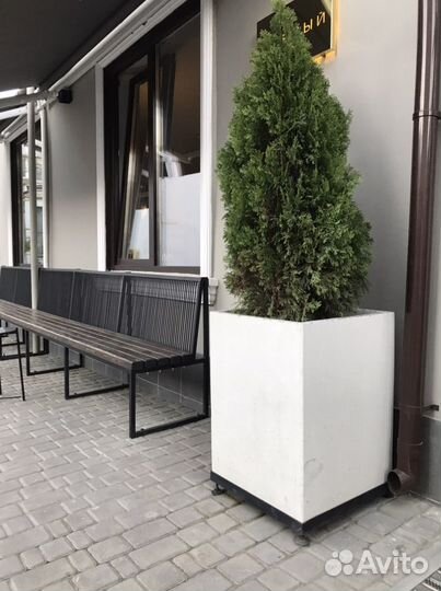 Клумба-кашпо