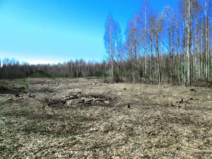 Участок 5 га (СНТ, ДНП)