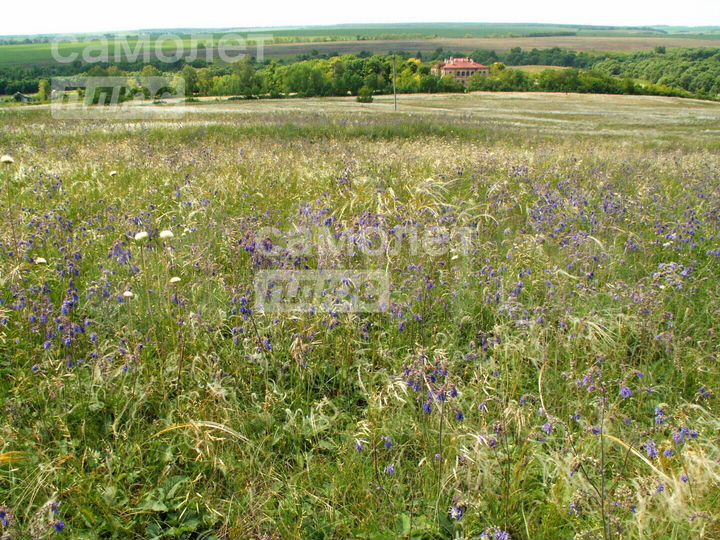 Участок 15 сот. (ИЖС)