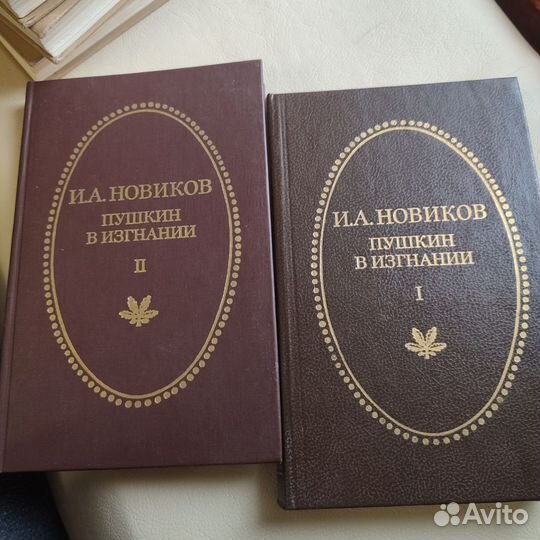 И.А.Новиков Пушкин в изгнании два тома