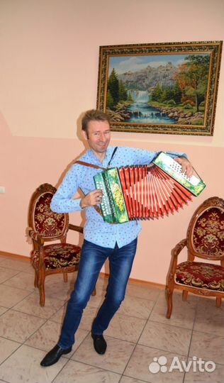 Гармонист баянист профессионал