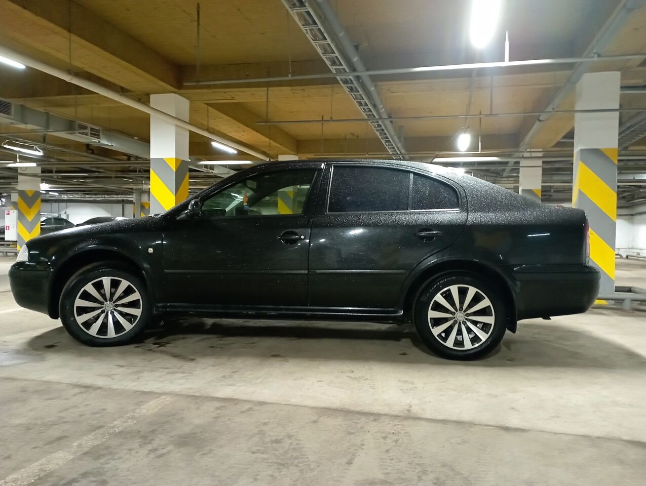 Skoda Octavia: фото владельца
