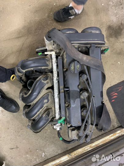 Мотор на ford focus 2 1.6 hwdb