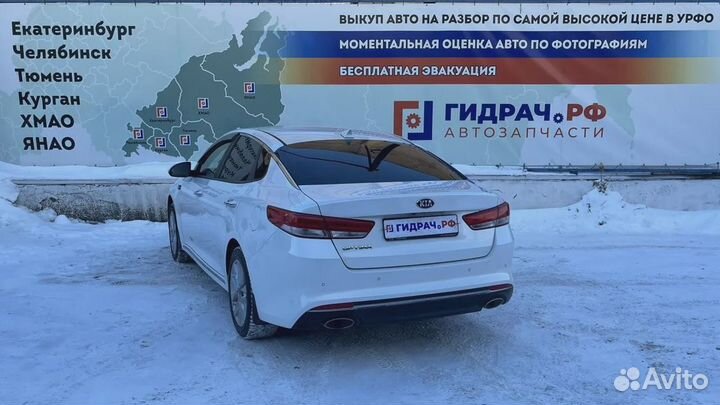 Уплотнитель стекла двери задней левой Kia Optima