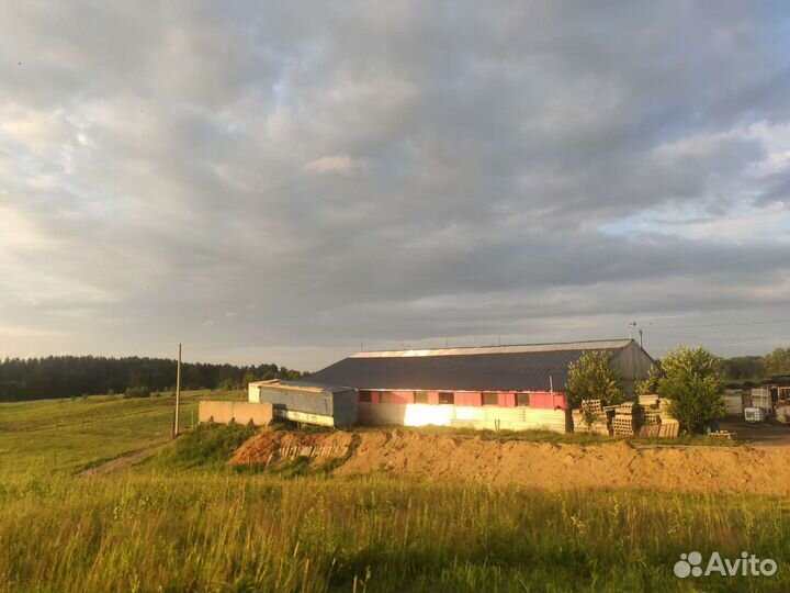 Постой для лошадей