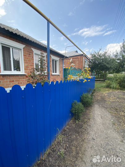 Металлический штакетник для забора