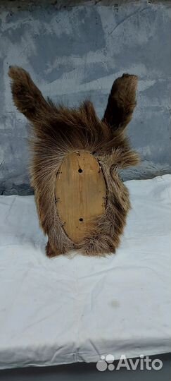 Чучела животных