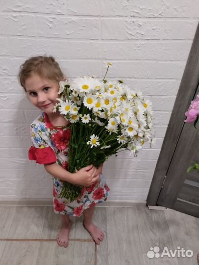 Букет из ромашек