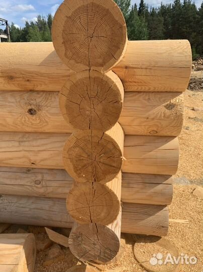 Срубы в чашу