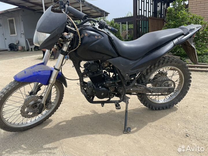 Ттр ирбис 250