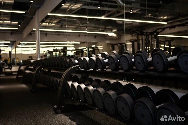 Абонемент в Alex Fitnes без ограничений