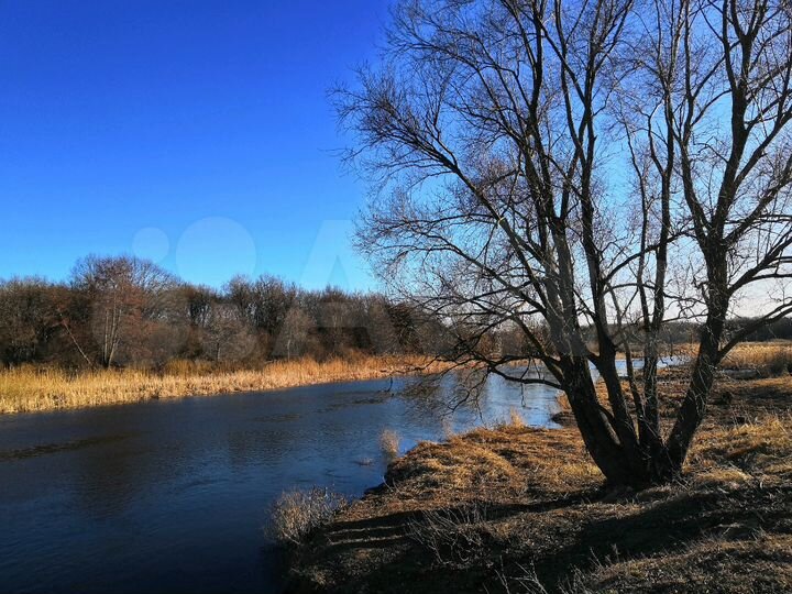 Участок 50 сот. (ИЖС)