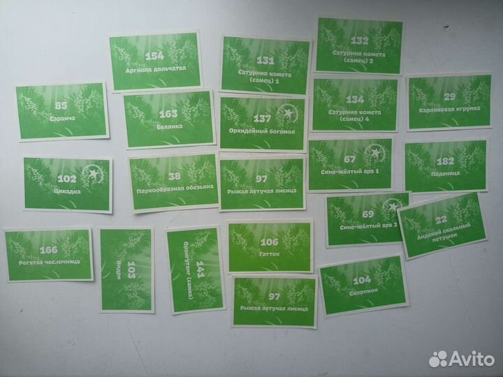 Наклейки животный мир