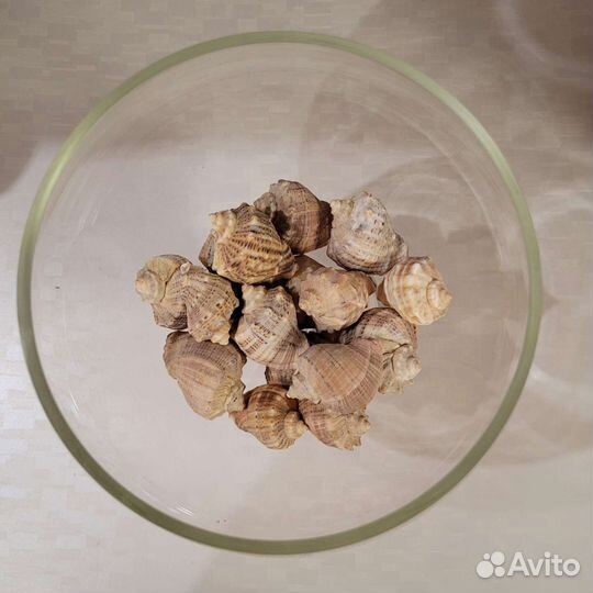 Аквариум бокал 3л