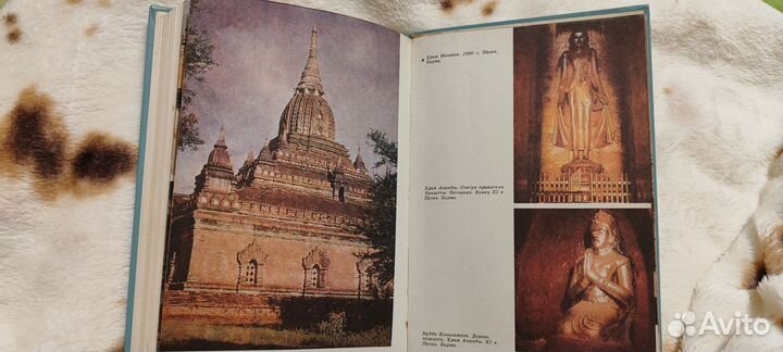 Искусство стран востока. Васильевский