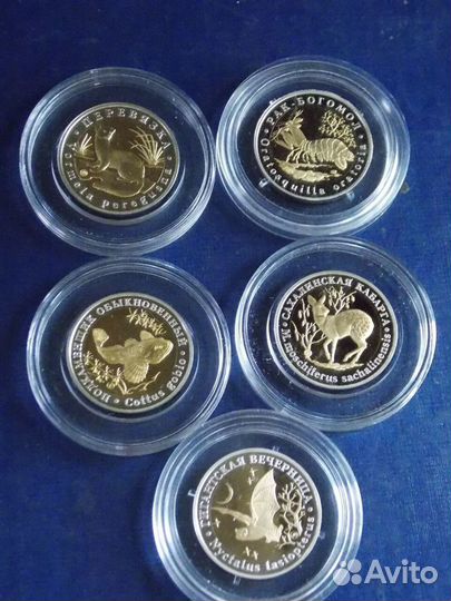 Красная книга СССР