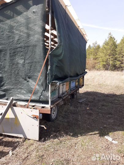 Продам пасеку