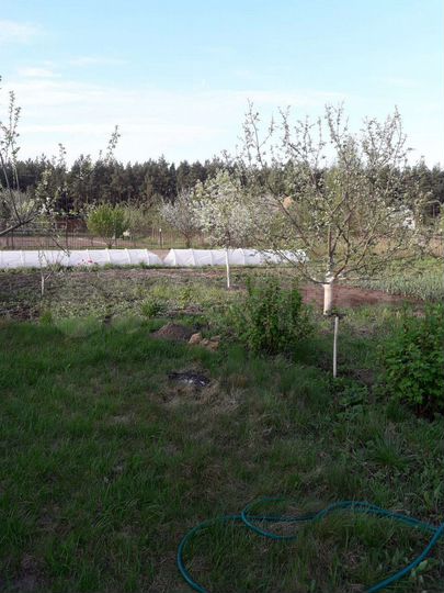 Участок 10 сот. (СНТ, ДНП)