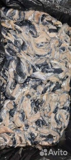 Корм для животных, рыбные отходы