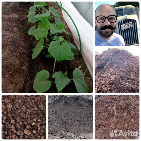 Перегной, компост, плодородный грунт, навоз