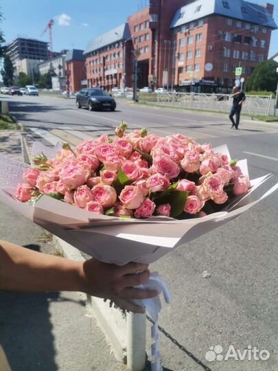 51 Роза кустовая