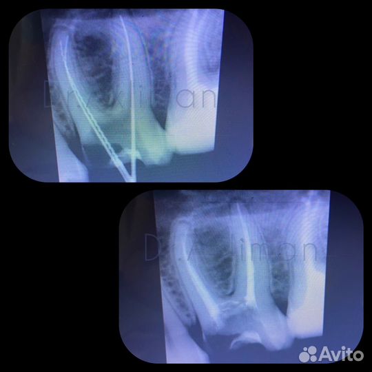 Врач стоматолог терапевт