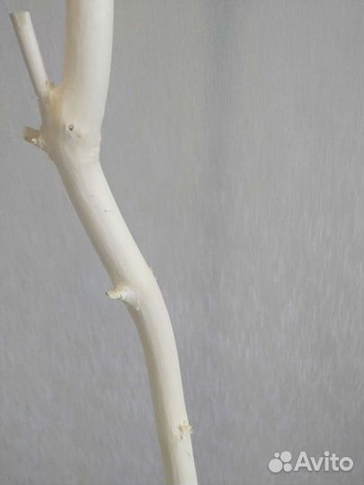 Деревянные стволы, деревья для декора