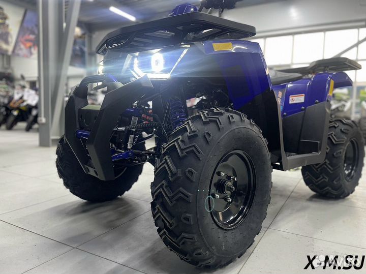 Квадроцикл promax wild 300(синий)