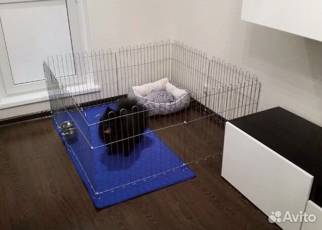 Вольер / клетка / манеж 8 секций (новый)