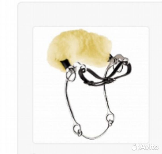 Хакамора whitaker