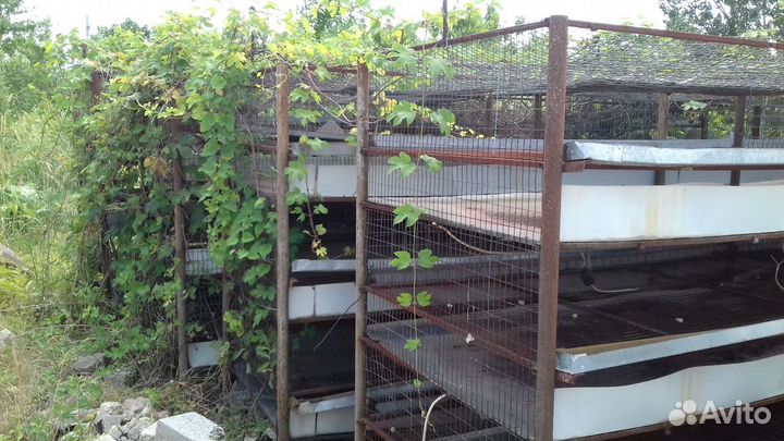 Клетка для птиц