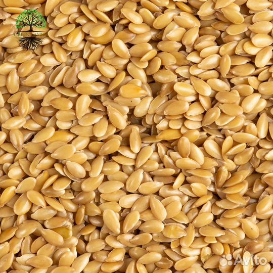 Лен золотистый