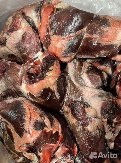 Мясо,шеи утки,фарш,корм для вашего питомца,собаки