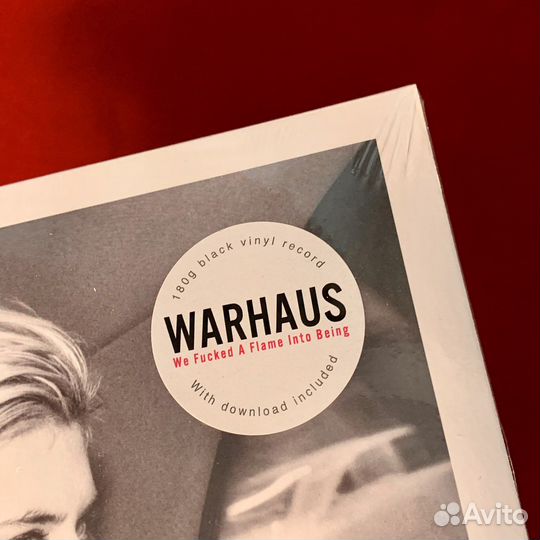 Warhaus - We fucked a flame into being LP